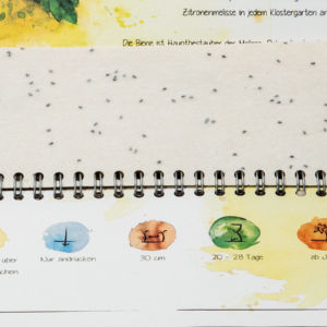 Exklusiver Tischkalender bei dem Samenstreifen miteingearbeitet wurden